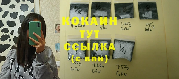 амф Горнозаводск