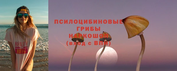 амф Горнозаводск