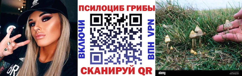 Галлюциногенные грибы Psilocybine cubensis  Кемь 